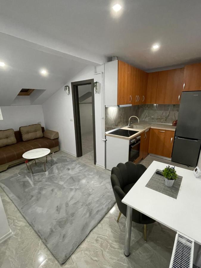 Cozy Apartament With 2Rooms Temeşvar Dış mekan fotoğraf