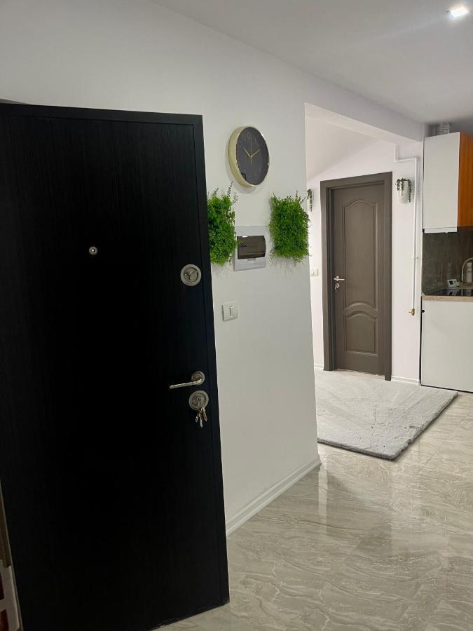 Cozy Apartament With 2Rooms Temeşvar Dış mekan fotoğraf